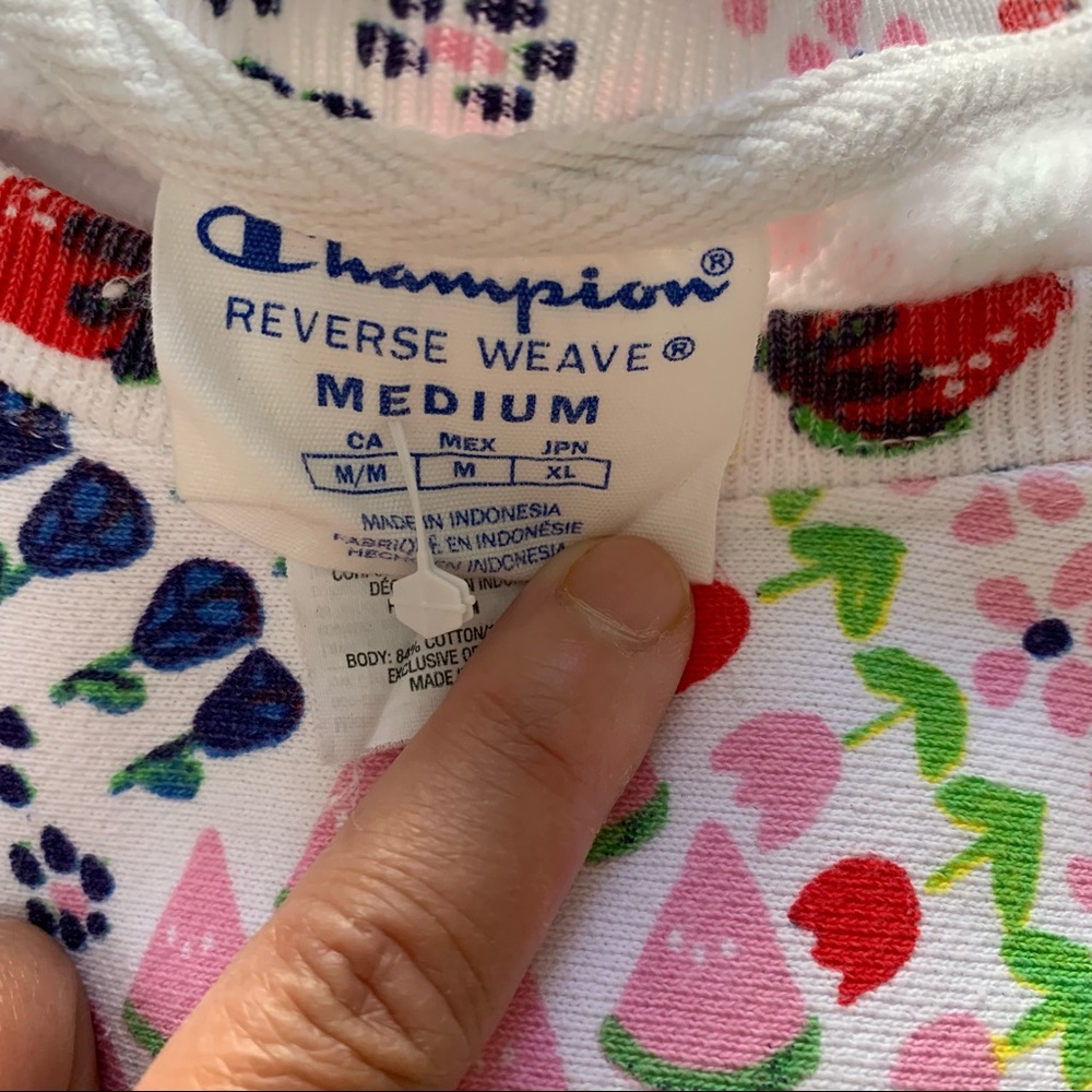 Champion x Susan Alexandra Multicolor Crewneck Sweatshirt - Pink, Yellow, Green - Picture 12 of 12